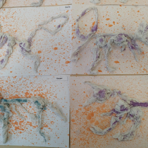 "Szkielet dinozaura"