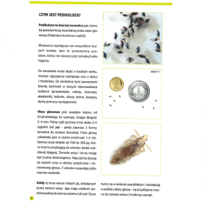 Poradnik - WSZYstko o wszawicy