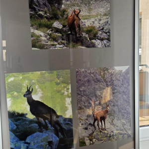 "Serduszka” zwiedzają wystawę.