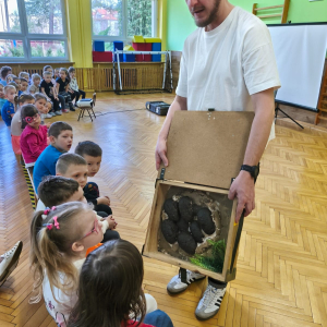 Grupa VI "Stokrotki"