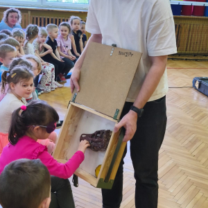 Grupa VI "Stokrotki"