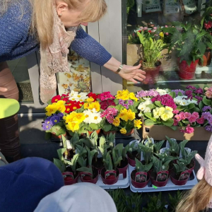 W naszym ogródeczku- zajęcia przyrodniczo- doświadczalne w gr. Dinusie