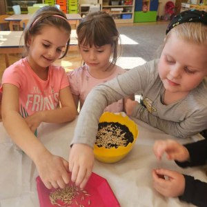 W naszym ogródeczku- zajęcia przyrodniczo- doświadczalne w gr. Dinusie
