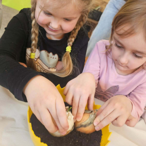 W naszym ogródeczku- zajęcia przyrodniczo- doświadczalne w gr. Dinusie