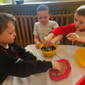 W naszym ogródeczku- zajęcia przyrodniczo- doświadczalne w gr. Dinusie