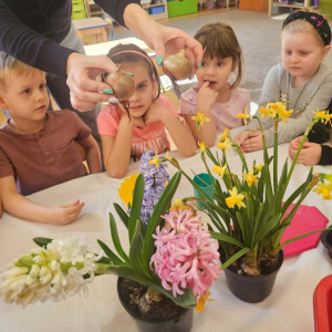 W naszym ogródeczku- zajęcia przyrodniczo- doświadczalne w gr. Dinusie