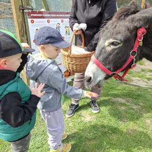 WYCIECZKA GRUPY DINUSIE I ŻABKI DO RANCZA ARTEMIDY
