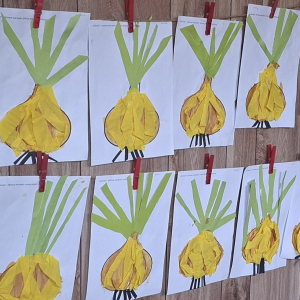 Praca plastyczna "Zdrowa cebula"