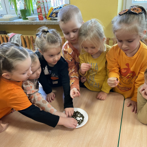 Dzień Dyni w grupie ”Kropeczek” 