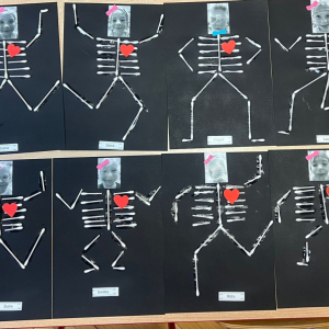 "Moje ciało - szkielet"