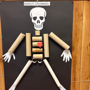 Szkielet człowieka