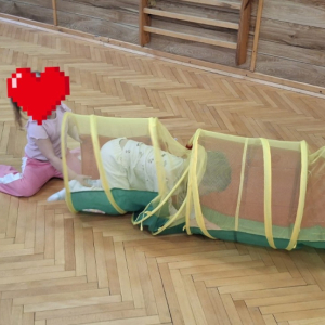 „Każdy to powie, że ruch to zdrowie”- zabawy ruchowe na sali gimnastycznej w grupie „Poziomek”  