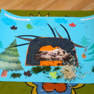 Praca zespołowa "Pomagamy zwierzętom przetrwać zimę"